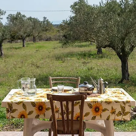 An Oasis Of Quietness *